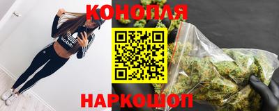 амф Новодвинск