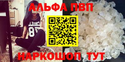 СК Новокубанск