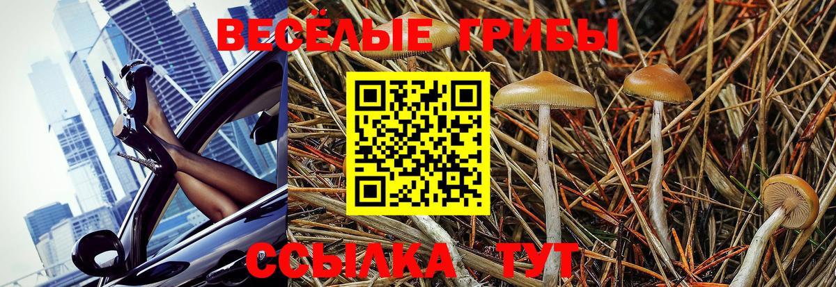 Хасавюрт  Галлюциногенные грибы мухоморы  Вход с VPN 